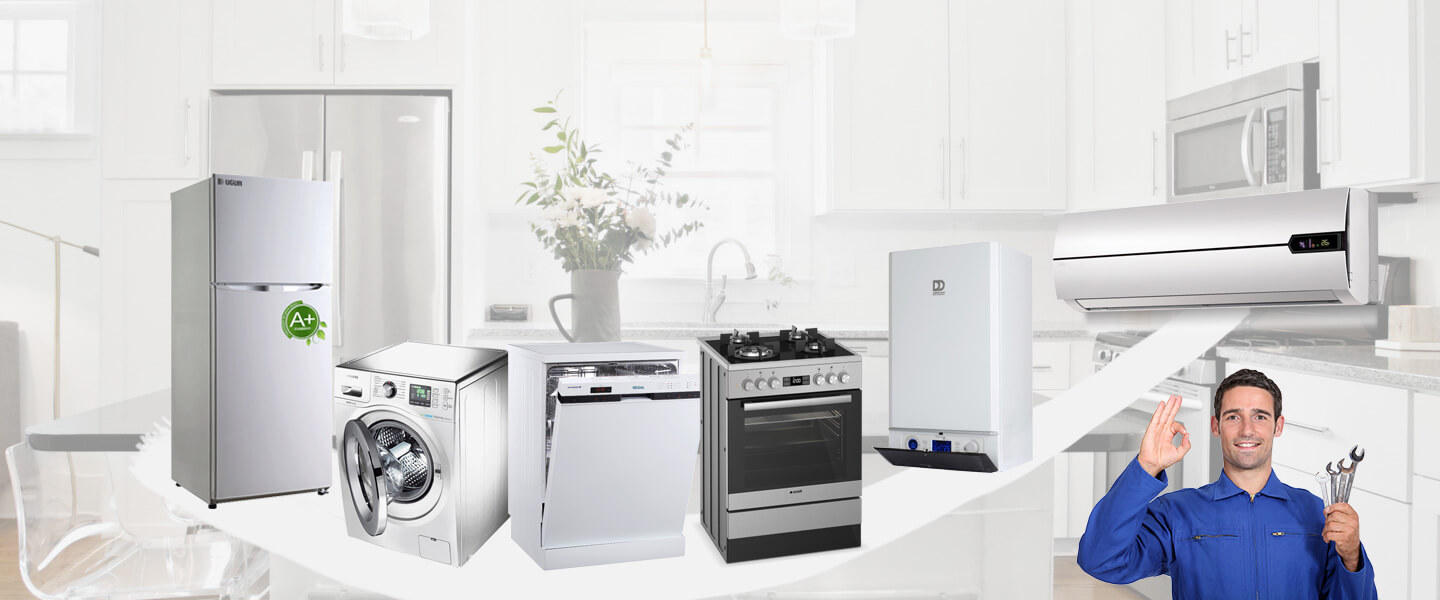 Küçükyalı Protherm Servisi